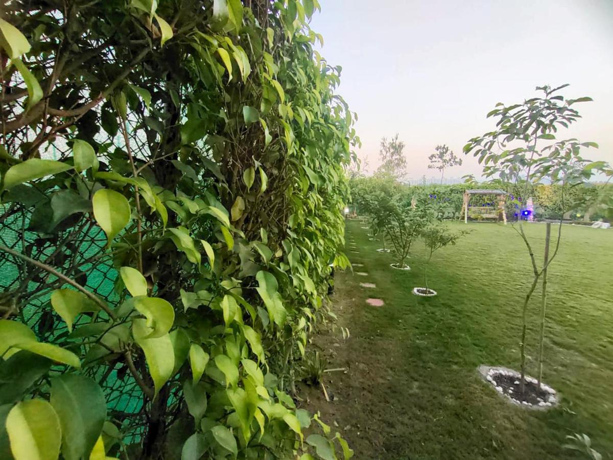 Shaw Estate-Farm House For A Small Parties-Jp Farm Грейтър Нойда Екстериор снимка